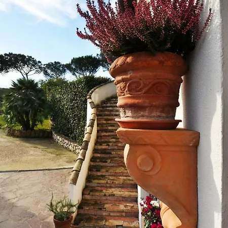 Pepe Casa de hóspedes Roma