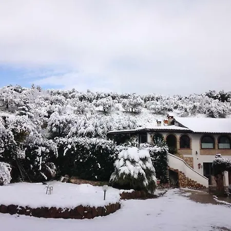 Casa de hóspedes Pepe *
